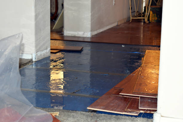 Professional Basement Flooding technician working in DeWitt, IA